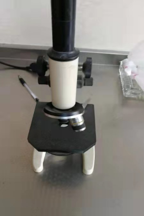 /images/20220505/7887eb3a718ed0d82f08740d8ecb3a9b.png image.png